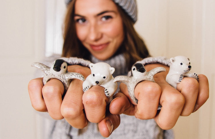 Artic Animals