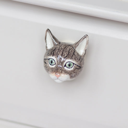 Poignée de porte chat tigré