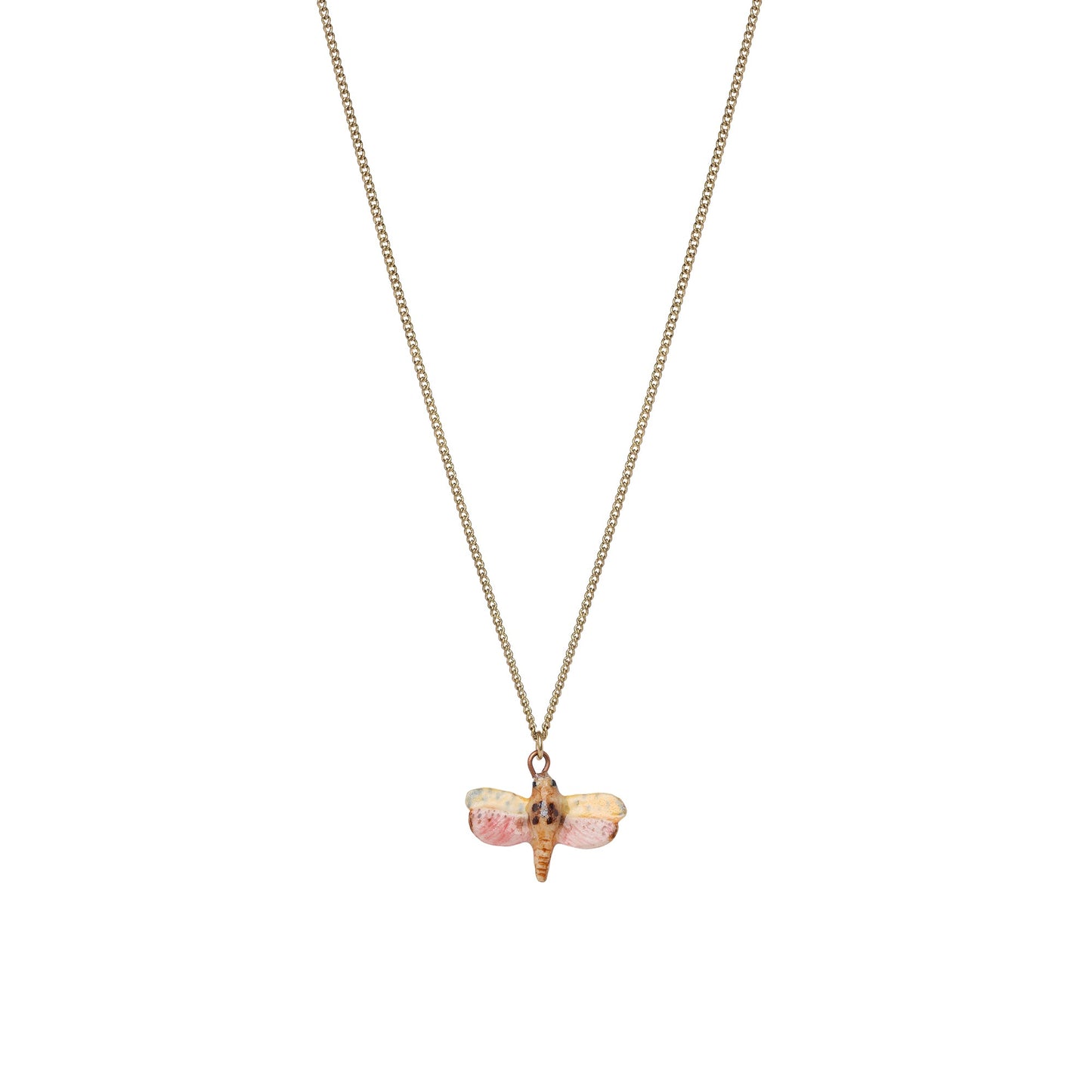Petit collier de libellule naturelle