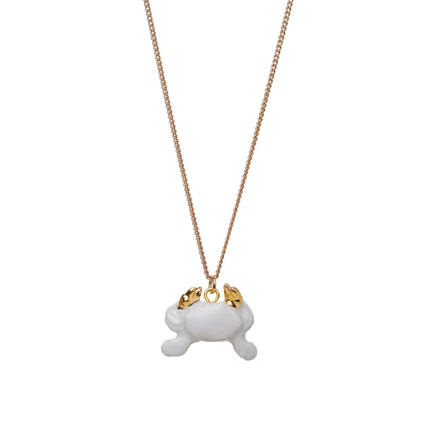 Petit crabe blanc avec collier de griffes d’or