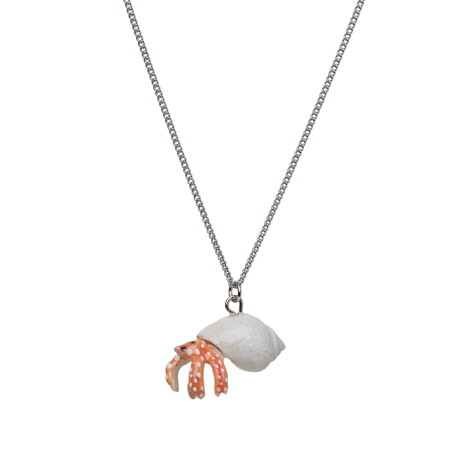 Petit collier de crabe ermite