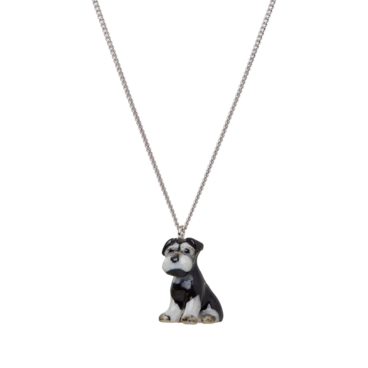 Petit collier Schnauzer assis