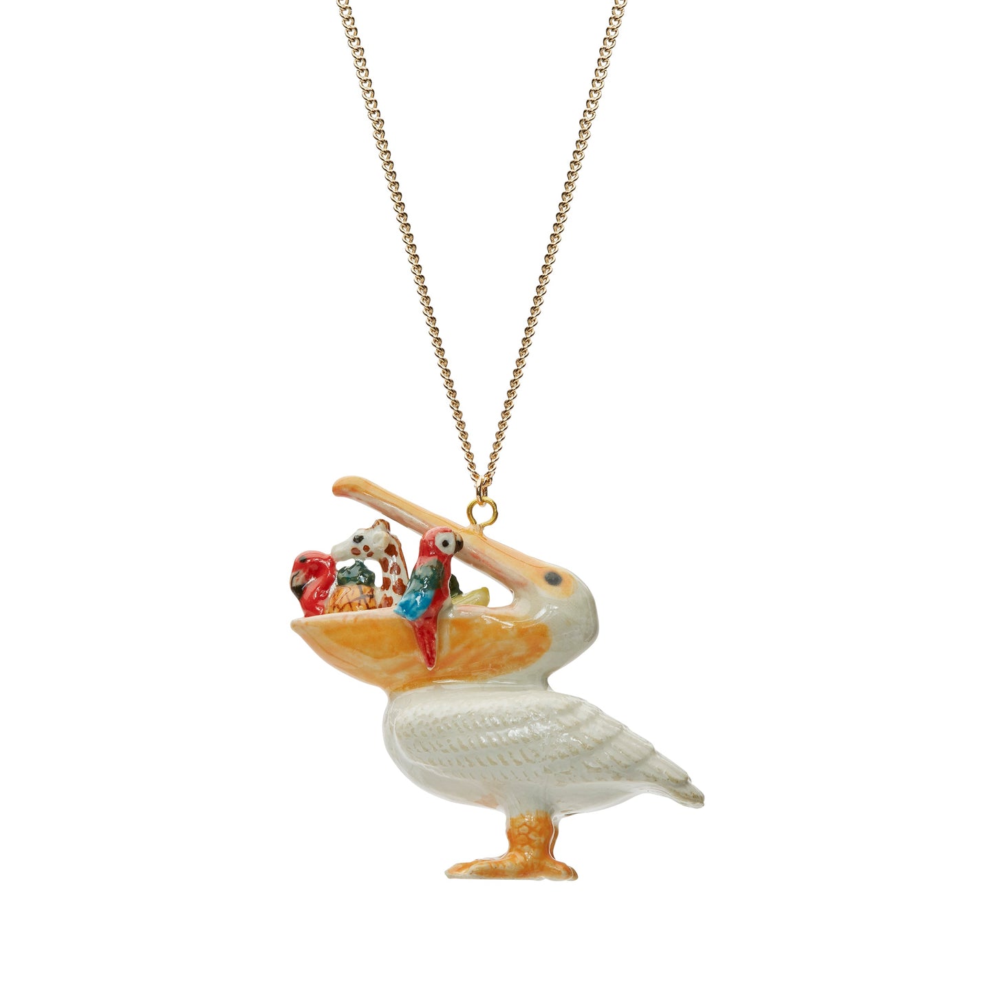 Petit collier de pélican affamé