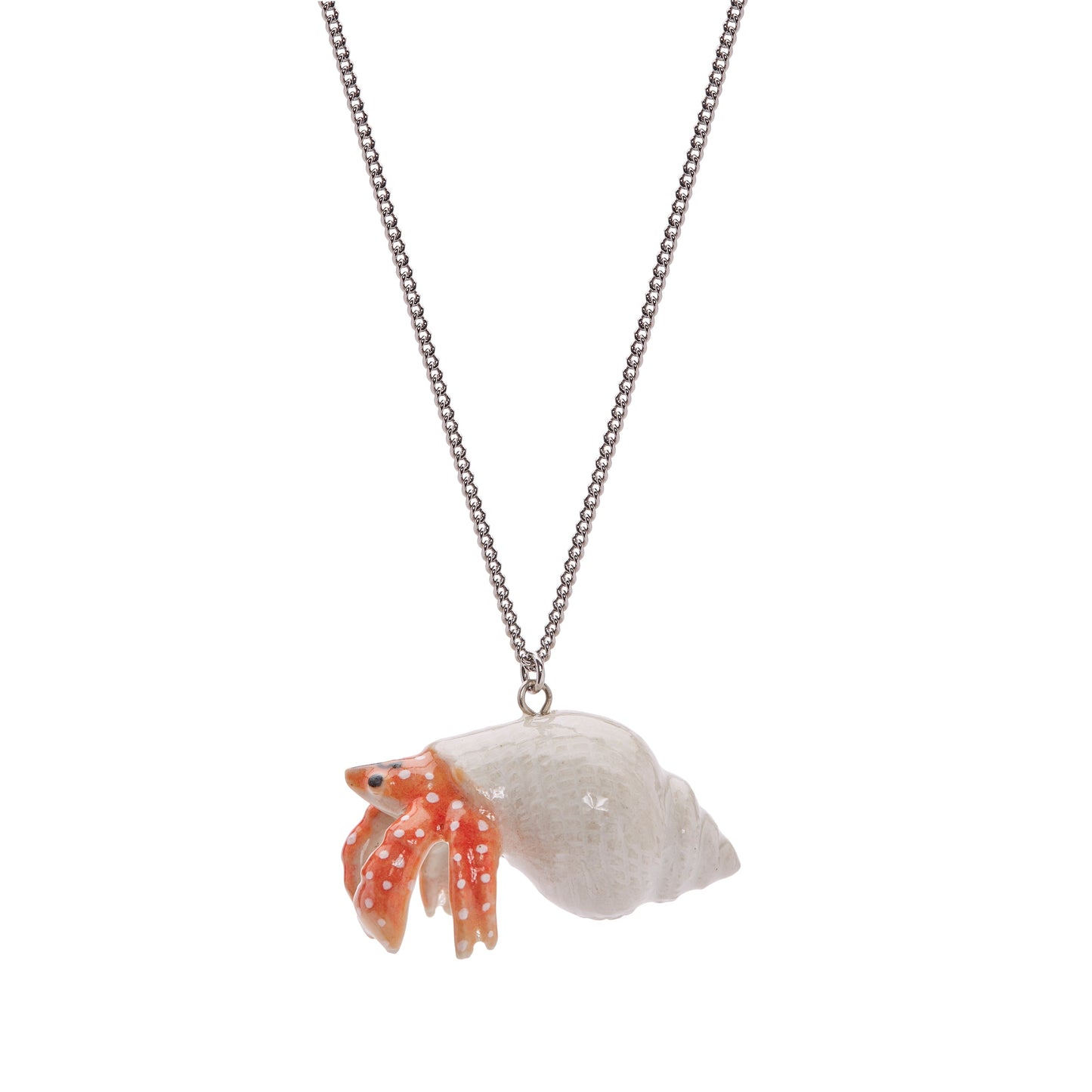 Collier de crabe ermite