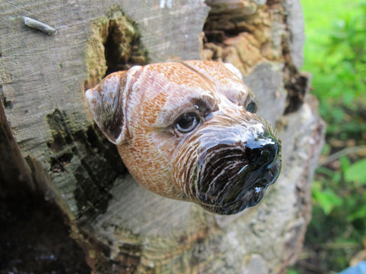 Poignée de porte Border Terrier