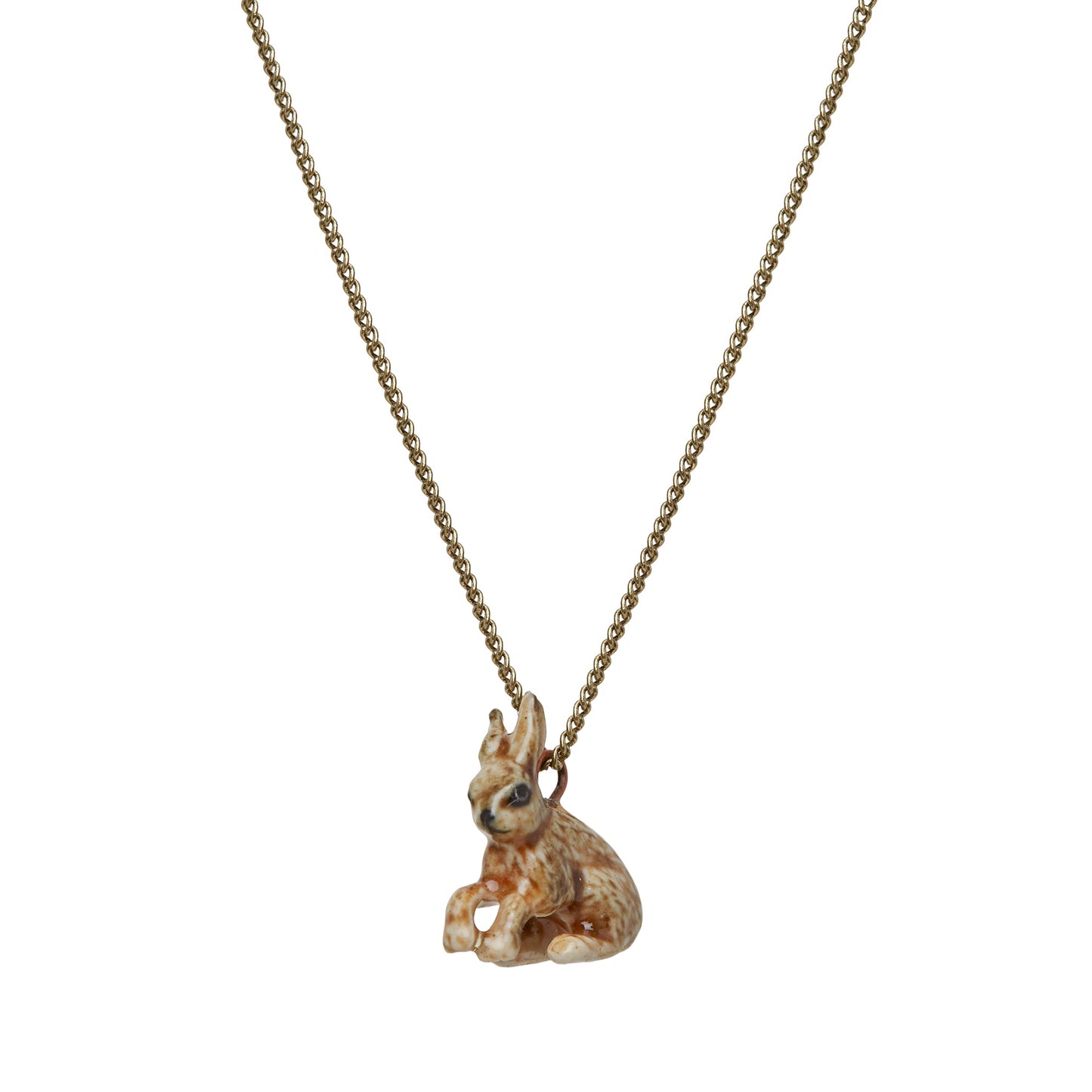 Petit collier de lièvre assis