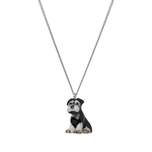 Petit collier Schnauzer assis