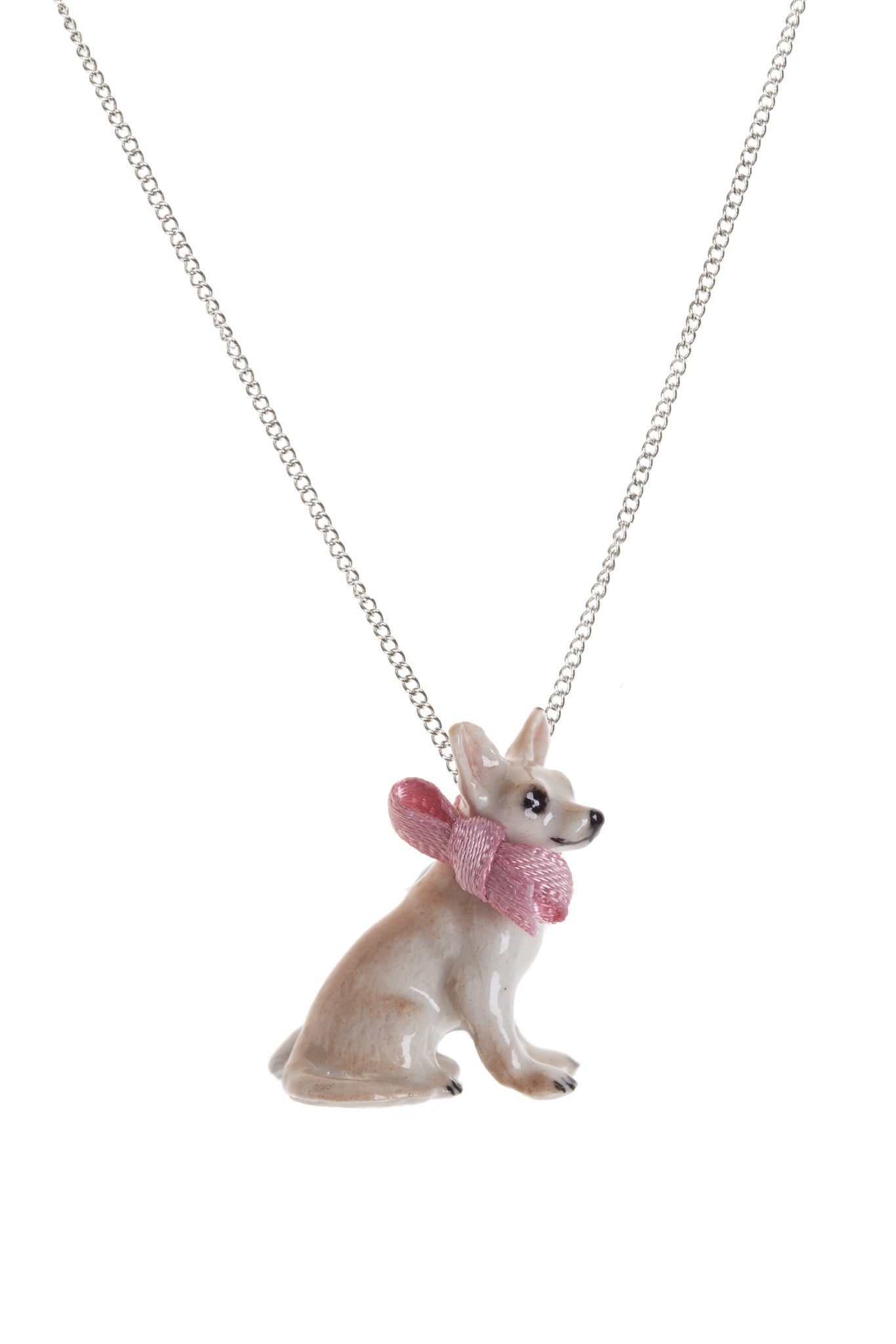 Collier Chihuahua assis
