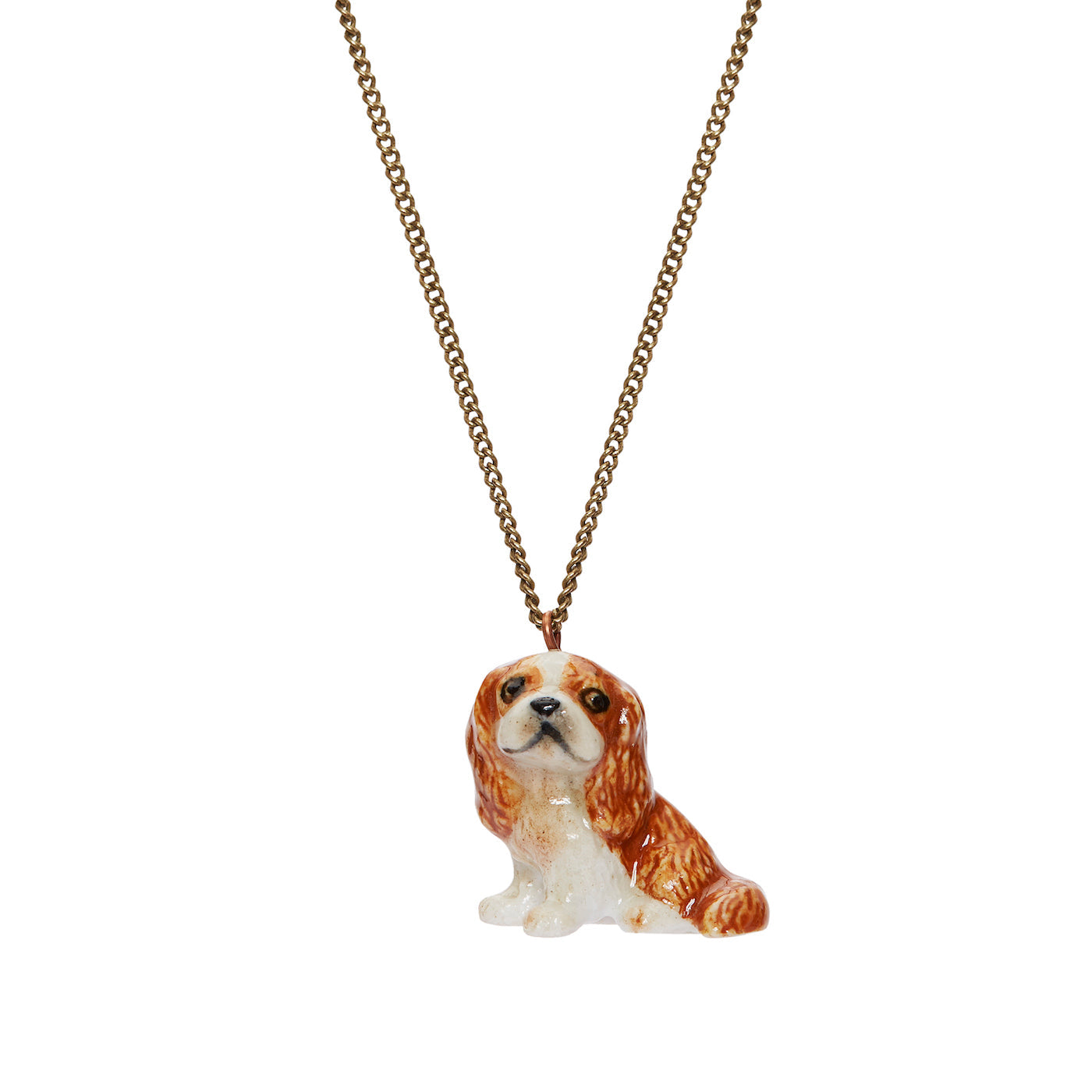 Collier épagneul King Charles marron